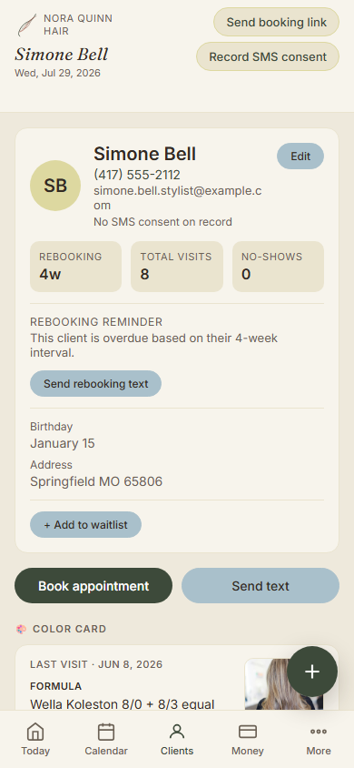 Nora Quinn's mobile client color card and formula history